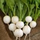 Radish-Imp.-White-Globe-Seeds.jpg